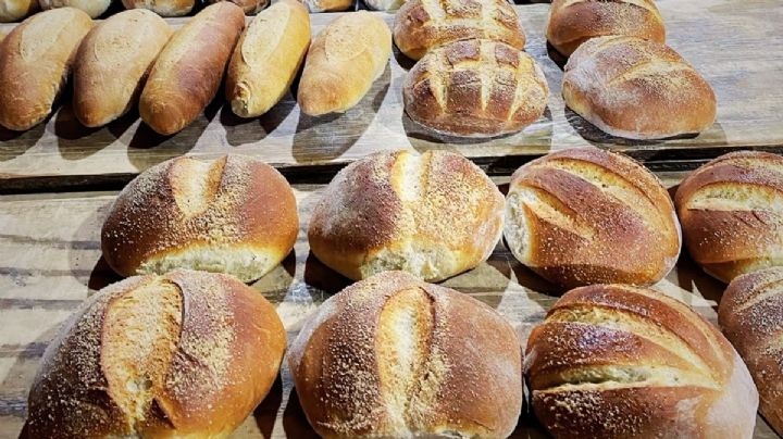 Bolillo y telera: descubre por qué reciben nombres distintos y cómo usarlos