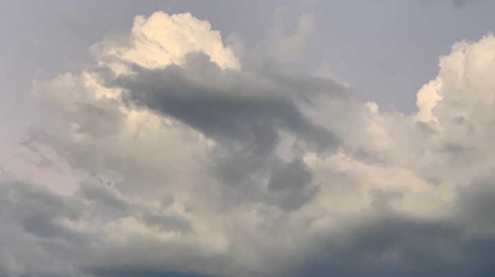 Pronostican mañanas frías durante esta semana en Guanajuato