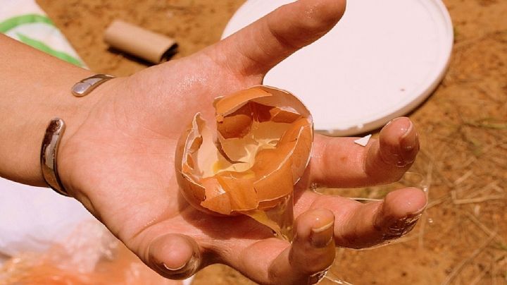 En México, la comida cocida y el pan encabezan la lista de alimentos más desperdiciados