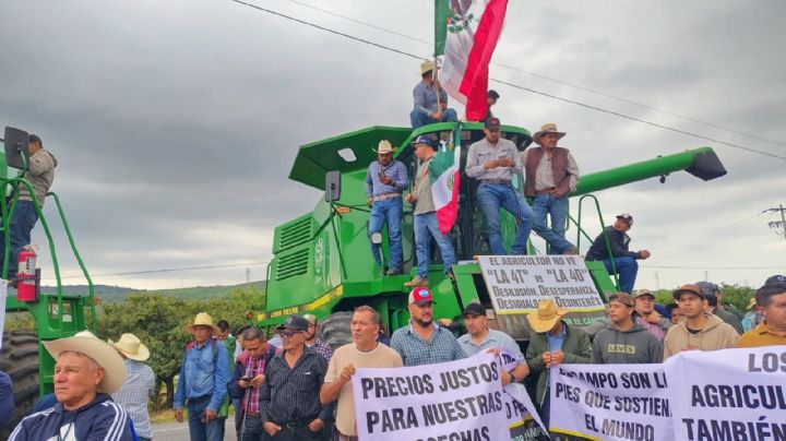 Productores de maíz amenazan con frenar la siembra si el gobierno no aumenta el precio del grano