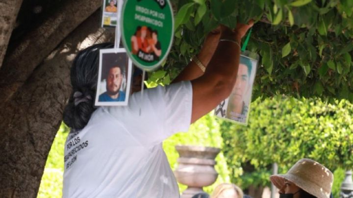Quitan fichas de búsqueda del "Árbol de la Memoria" en León, buscadoras exigen saber qué pasó