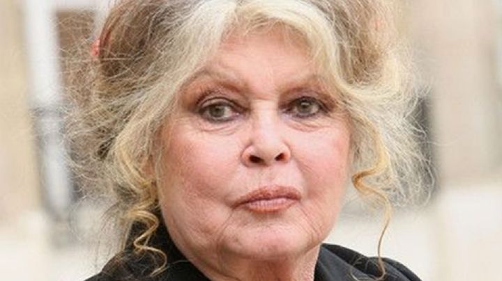 Brigitte Bardot vuelve a casa tras tres semanas hospitalizada por grave enfermedad