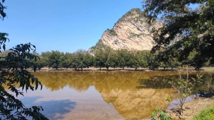 Hidalgo tiene 270 mdp en el Presupuesto 2025 para atender desastres naturales y apoyar al campo