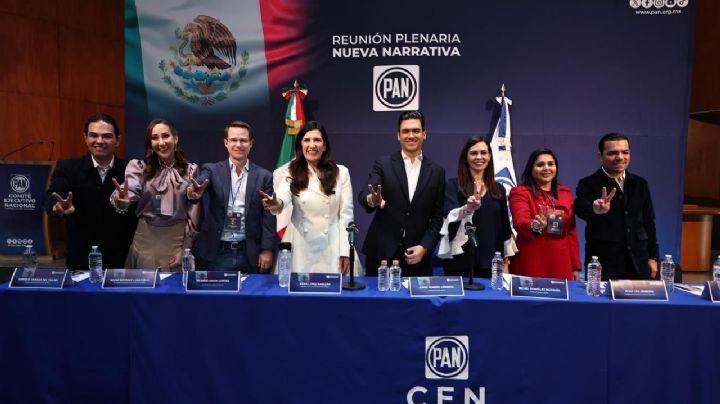 Cuestionan especialistas relanzamiento del PAN