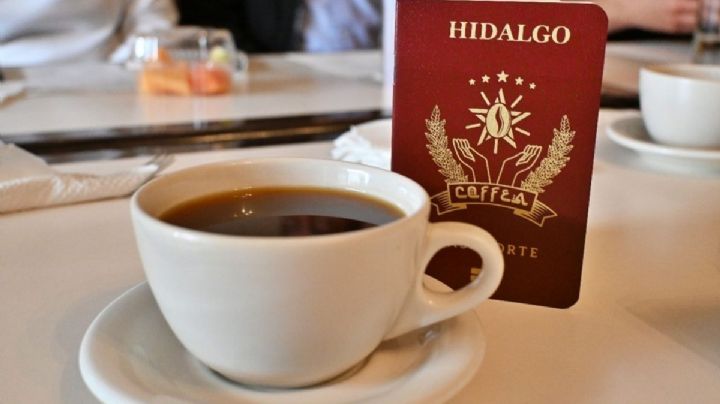 ¿Cuál es la región de Hidalgo que produce el mejor y más exquisito café?