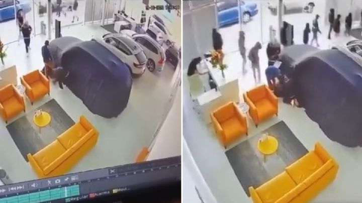 ¿Cómo robó el Cartel de Jalisco los vehículos Volvo en León? / VIDEO