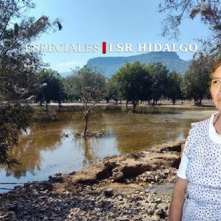 “¿Y ahora de qué vamos a vivir?”: campesinos de Metztitlán pierden todo tras las lluvias