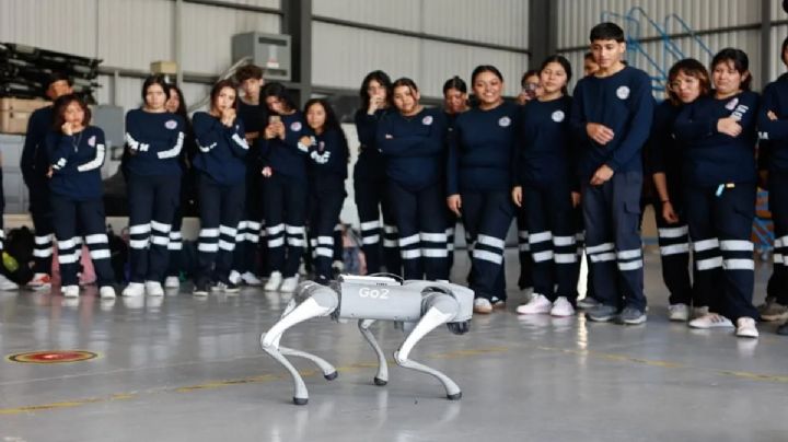 Zapopan usa “cyberperros” de 800 mil pesos para exhibiciones y no para labores de seguridad como anunció