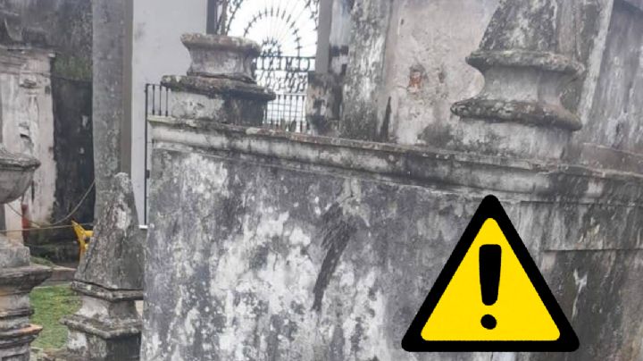 Vecinos denuncian muerte por envenenamiento de gatos en el panteón 5 de Febrero, en Xalapa