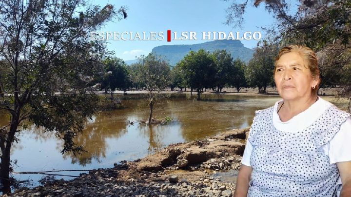 “¿Y ahora de qué vamos a vivir?”: campesinos de Metztitlán pierden todo tras las lluvias de Priscilla