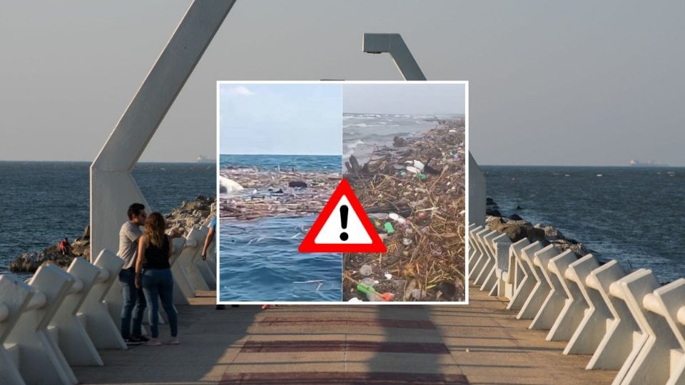 Mar arroja animales muertos a costas de Coatzacoalcos; podrían ser del norte de Veracruz