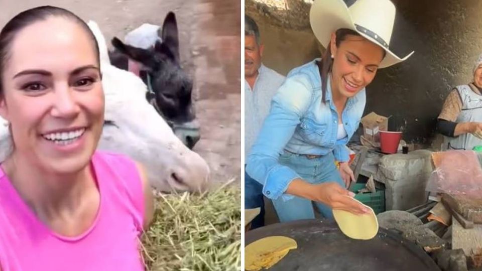 Alejandra Gutiérrez no asistió a la reunión del PAN para la elección de consejeros y prefirió dar de comer pastura y zanahorias y un día antes hacer tortillas en Duarte.