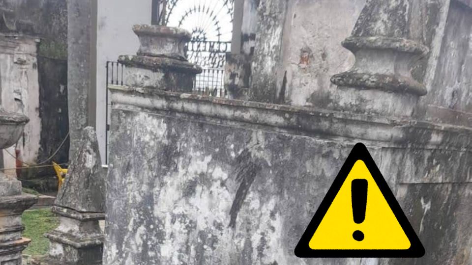 Mueren 4 gatos envenenados en panteón 5 de Febrero, Xalapa