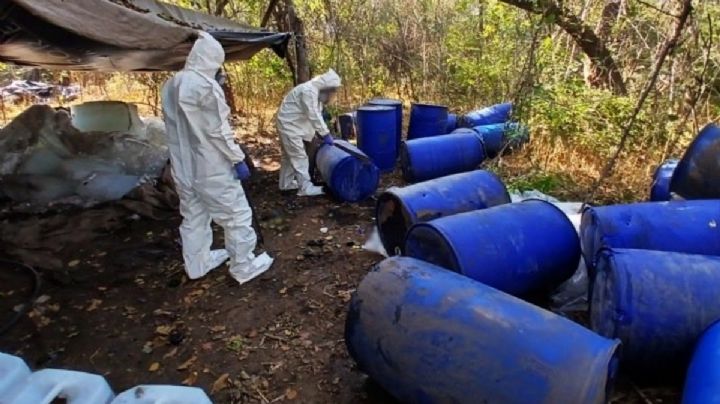 Dan golpe al narco de más de 246 millones de pesos en Sinaloa