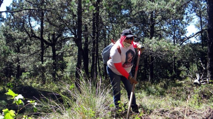 “Si no es mi hija, busco a los demás”: excavan en el Ajusco para encontrar a sus familiares