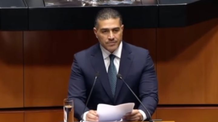 "Operaciones directas y detenciones concretas en Guanajuato": Harfuch en el Senado