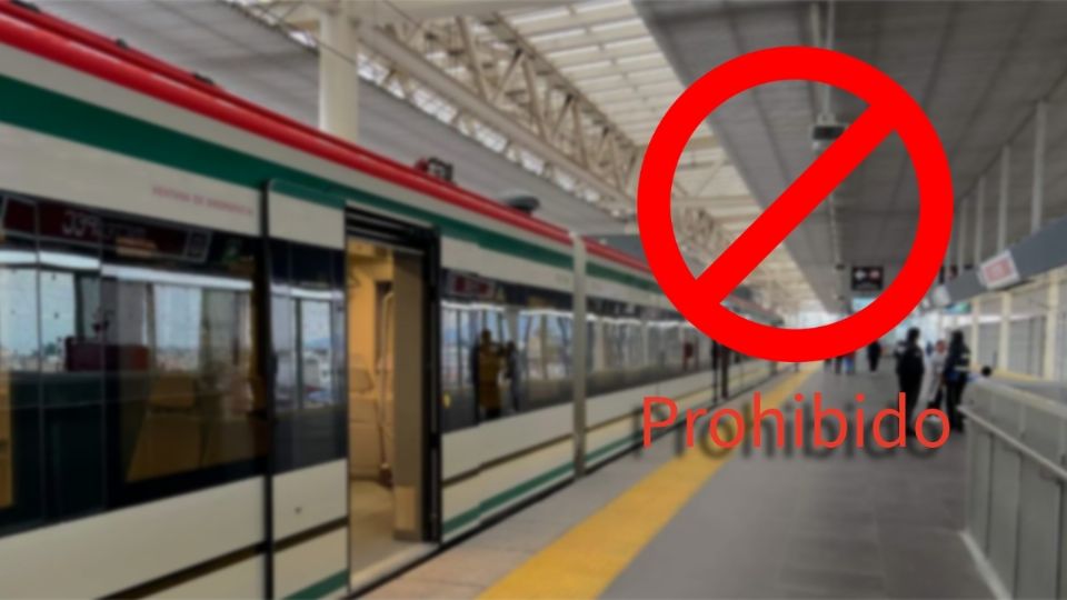 El tren México-Pachuca tendrá un reglamento dirigido hacia pasajeros