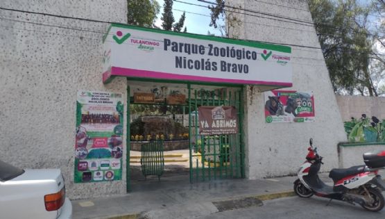 Confirman realización de “Terror en el Zoológico de Tulancingo” tras inspección de Profepa