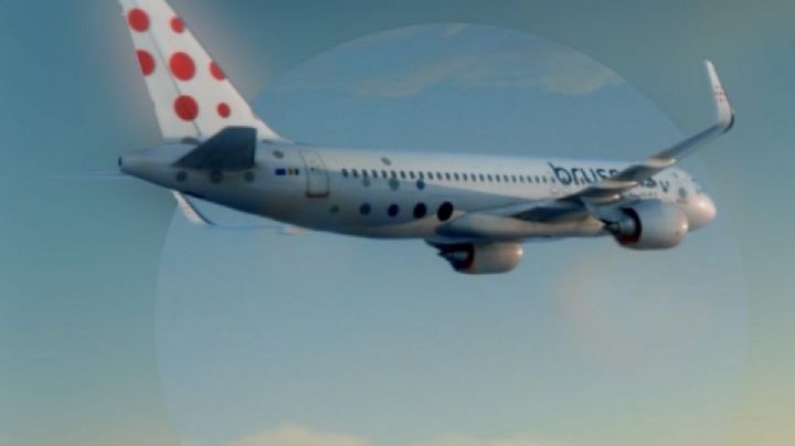 Tres azafatas se niegan a subir vuelo por presencia de insectos; aerolínea las despide