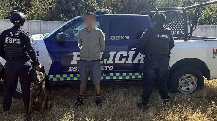 Un perro de la policía captura a distribuidor de drogas en León