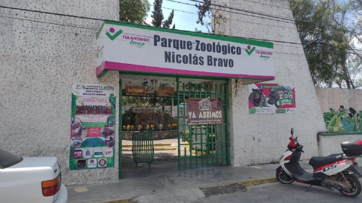 Confirman realización de “Terror en el Zoológico de Tulancingo” tras inspección de Profepa