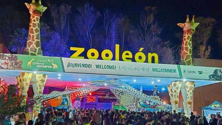 ¿Terror para los animales?; la Profepa pide explicación sobre “Halloween Zoo”