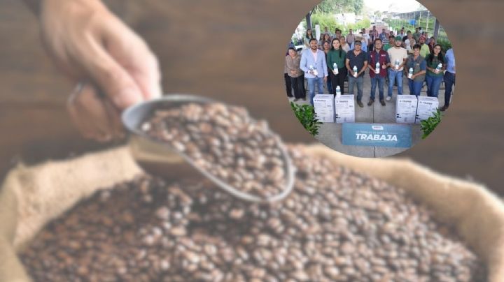 Entregan plantas de café, maracuyá y bioinsumos a productores de Emiliano Zapata