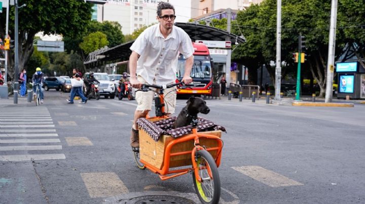 Mientras en CDMX aumentan los accidentes de tránsito, en Insurgentes bajaron 51% tras instalación de ciclovía