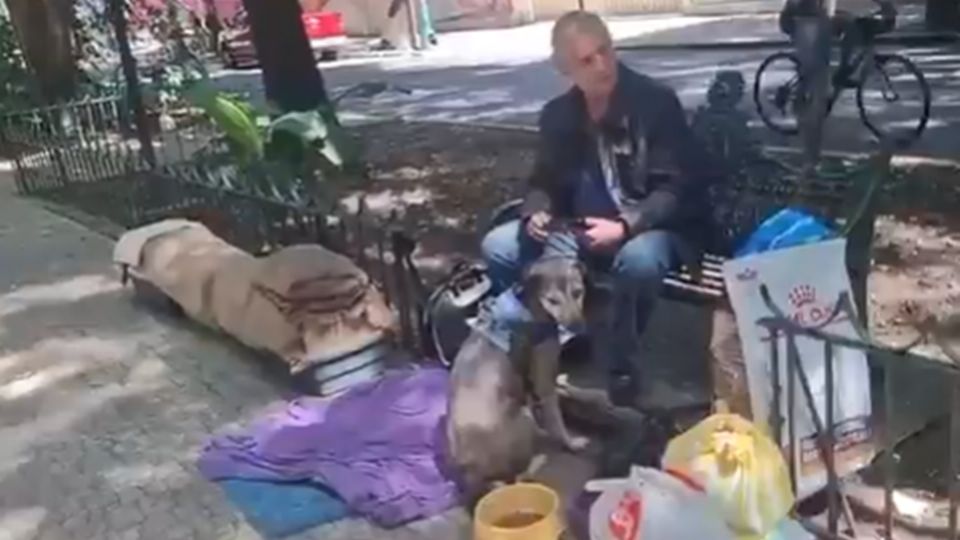 No estarían enfrentando una condición real de calle