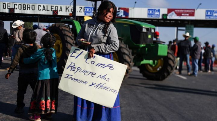 Rescate al campo: la opción menos ruda… un peso barato