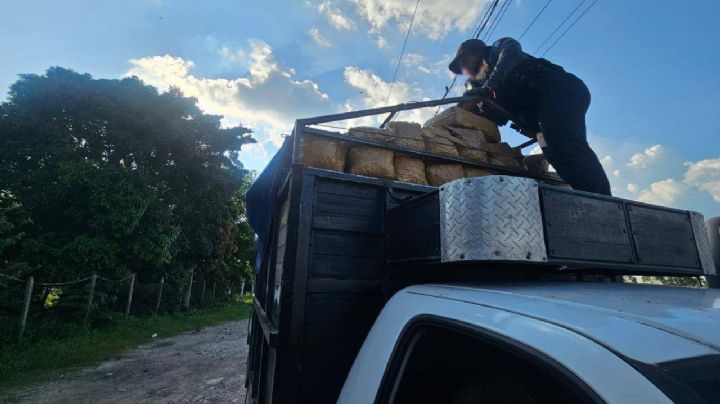 Tabasco: detienen a narcos con 300 kg de marihuana en carretera Villahermosa-Coatzacoalcos