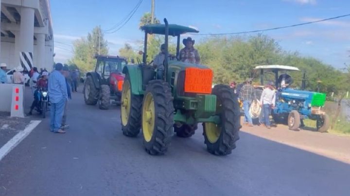 El lunes gobierno federal definirá precio del sorgo y maíz para productores de Guanajuato