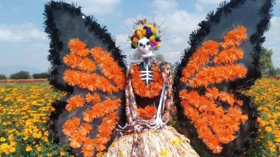 Este fin de semana visita los campos llenos de flores y catrinas gigantes para tomarte la foto