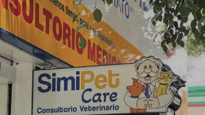 Pachuca tendrá el primer consultorio SimiPet, aquí quedará la veterinaria del Dr Simi