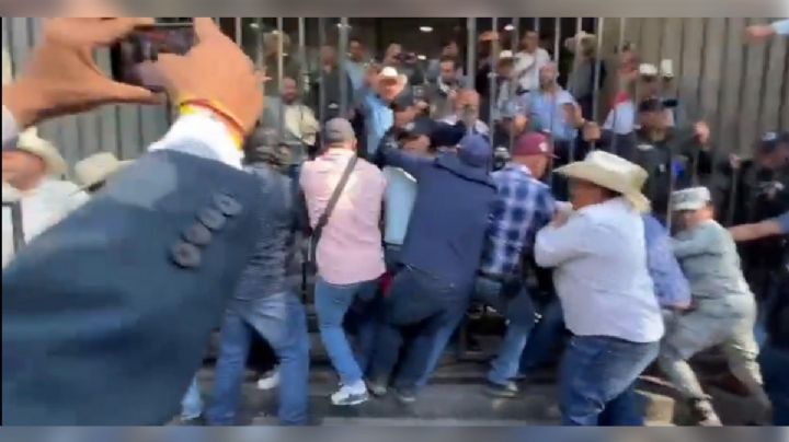 Agricultura anuncia precio de maíz para Guanajuato, Jalisco y Michoacán