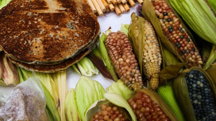 Sin maíz no hay país: bases de una política de autosuficiencia alimentaria