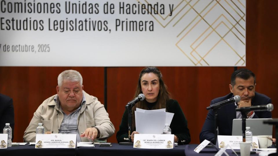 Bonilla detalló que para 2026 se proyecta una deuda pública de 52.3% del producto interno bruto (PIB) con un déficit estimado de 4.1% de PIB.