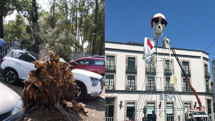 Norte en Xalapa deja 11 colonias afectadas: árboles caídos y cortes de luz