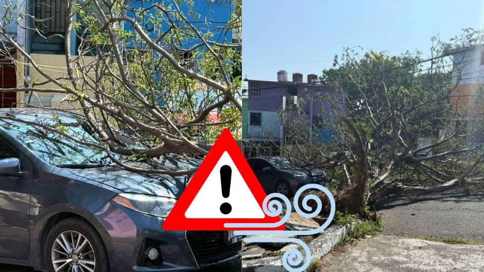 Afectaciones en Veracruz - Boca del Río por norte fuerte