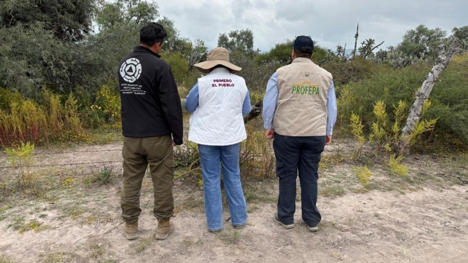Inspectores certificaron la presencia del felino de gran tamaño en la localidad Benito Juárez