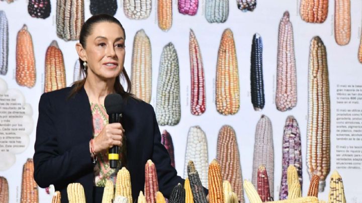 Pues sí, sin maíz no hay país