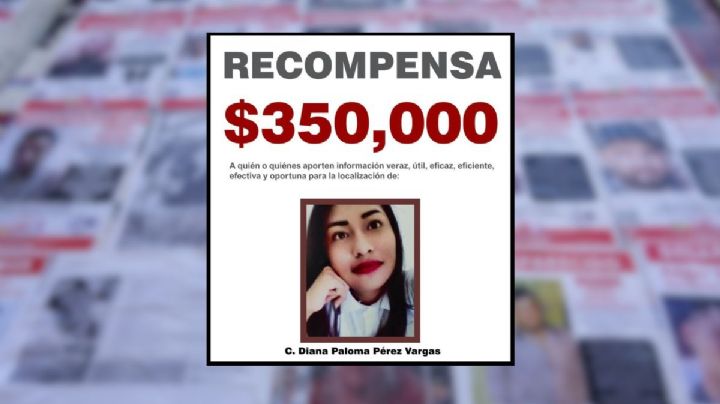 FGE ofrece 350 mil pesos por paradero de Diana Pérez, desaparecida en Poza Rica desde 2019