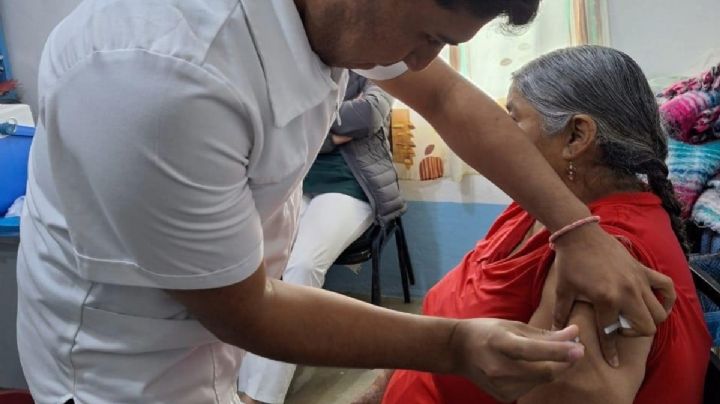Vacunación contra la influenza: se prevén aplicar 884,840 dosis en Hidalgo