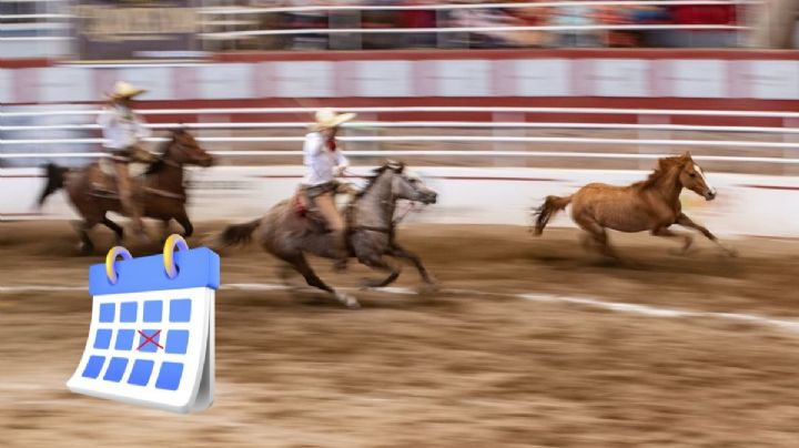 Este es el Día del Caballo en Veracruz, oficial por decreto de Nahle