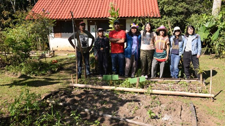 Huerto del centro Ecodiálogo UV siembra comunidad