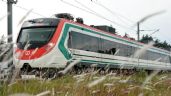 Foto ilustrativa de la nota titulada: ¿Cuánto costará el pasaje del tren de pasajeros León- Ciudad de México?