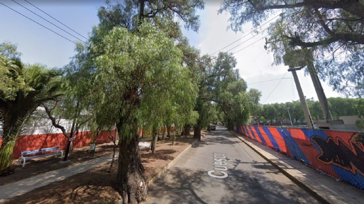 Aparece hombre colgado en árboles de la calle Cuesco de Pachuca; esto se sabe