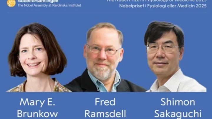 Nobel de Medicina reconoce a científicos que descifraron la tolerancia inmunológica