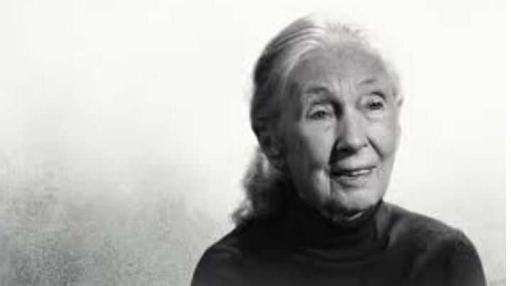 Jane Godalll dejó dicho en Netflix a cuáles presidentes mandaría al espacio sin boleto de vuelta