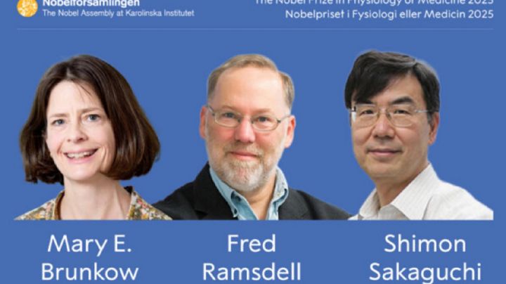 Los Premios Nobel, entre prestigio y geopolítica